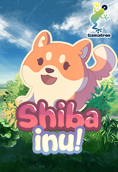Shiba-Inu